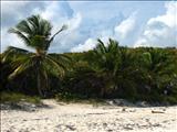 Navío Beach - VIEQUES